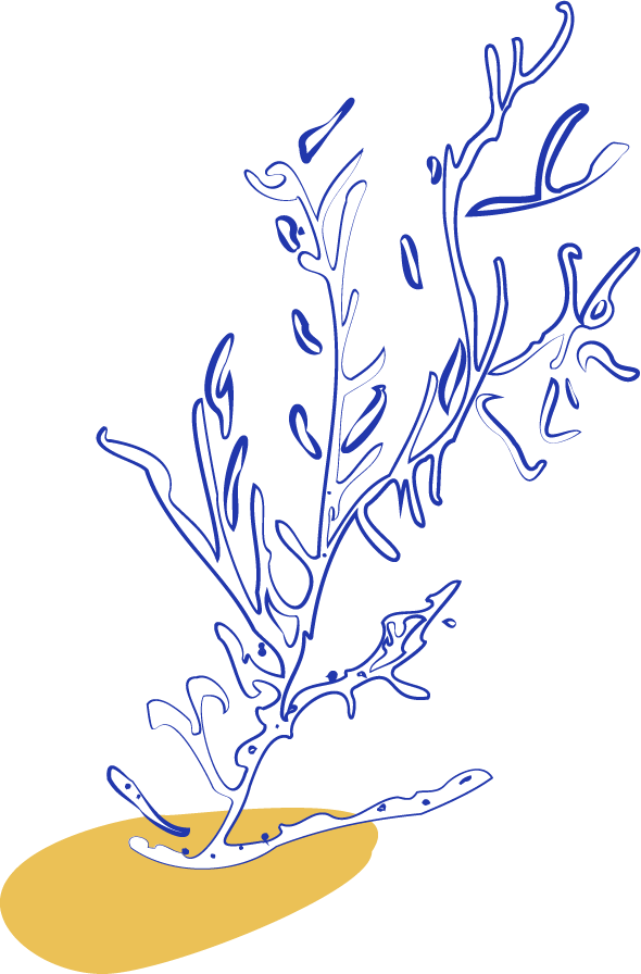 Illustration_2 Illustration_2